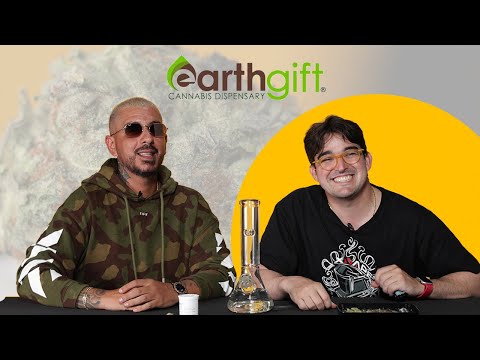 Auudi & Purple Door reaccionan a MAUI WAUI