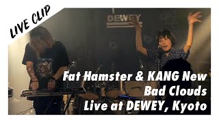 [라이브클립] 팻햄스터 & 캉뉴 (Fat Hamster & KANG New) - Bad Clouds @ Live House DEWEY, 교토, 20240928