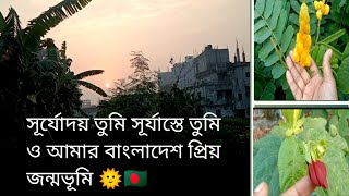 🕋ফজরের নামাজ পড়ে একটু হাঁটতে বের হলাম |how to my youtube chenel | hasina vlogs |2024