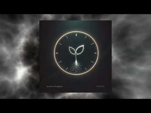 MALEX - Secrets of Longevity (Visualizer)
