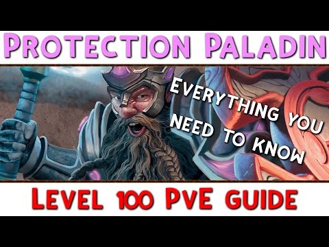 Level 100 Protection Paladin PvE Guide