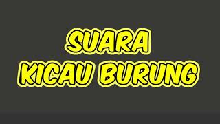 Download lagu Efek Suara Kicau Burung mp3 Download lagu Efek Suara Kicau Burung mp3