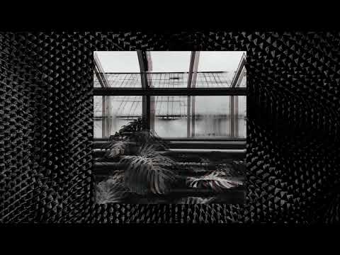 Escu - Perspeicteisan