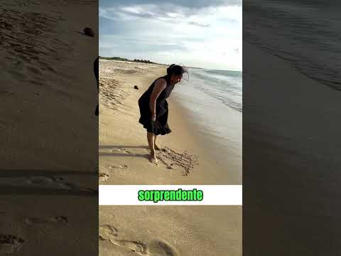 Esto pasó cuando esta chica escribio en la arena de la playa #curiosidades
