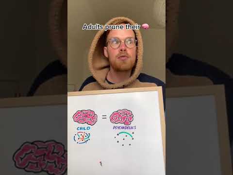 なぜ子供たちはキノコを食べているように振る舞うのか #短パン (Why kids act like they're on shrooms #shorts)