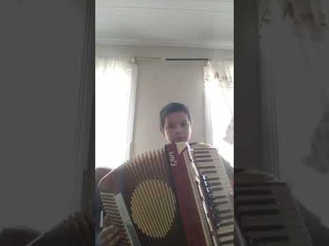 kilometro 11 no acordeon-vini gaiteiro