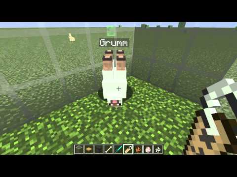 Easter Egg Hunt #16: Fun With Name Tags in Minecraft!
