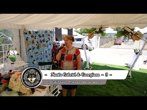 Nunta Gabriel & Georgiana - 3 - Fratii Diricel - Program cu hore de masa