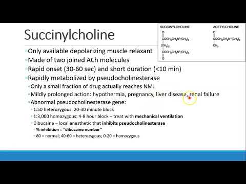 Pharmacology for Anesthesia   07 NMB Agents and Reversal Drugs Part 1