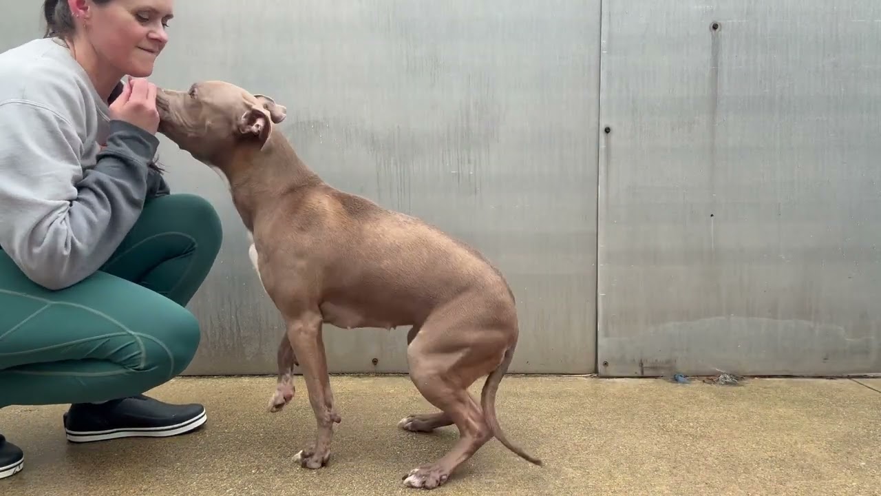 Napa's Video 2