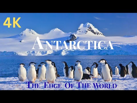 Going to Antarctica – The Ultimate 4K Nature Film of Ice and Wildlife