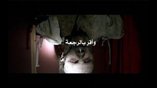 من أقر بالرجعة فهو مؤمن حقا ومن شيعتنا أهل البيت