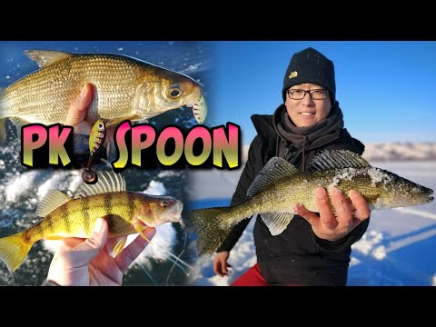 New Year's Multi-Species Ice Fishing with PK SPOON on Echo Lake, Saskatchewan 2021