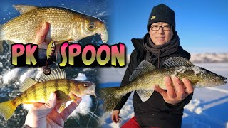 New Year's Multi-Species Ice Fishing with PK SPOON on Echo Lake, Saskatchewan 2021