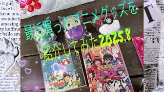 最近購入したアニメグッズを紹介してみた2025.8