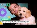 Kun je je huisdier klonen? | UITGEZOCHT #8
