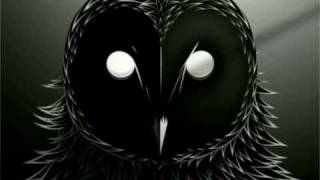 I Love You But I've Chosen Darkness - The Owl