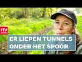 Bevers graven hol onder treinspoor. 'Levensgevaarlijk' | ROEG | RTV Drenthe