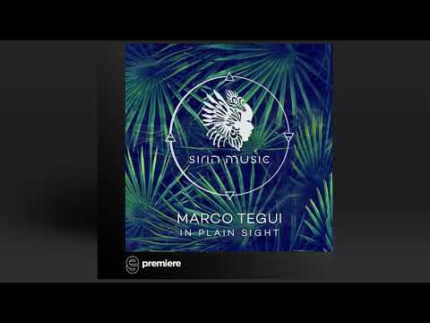 Premiere: Margo Tegui - Chasing The Sun (Greg Pidcock Remix) - Sirin Music