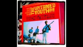 THE UNTAMED YOUTH - LITTLE MISS GO GO
