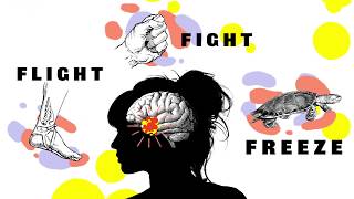 Download lagu Fight Flight Freeze – Anxiety Explained For Teens mp3