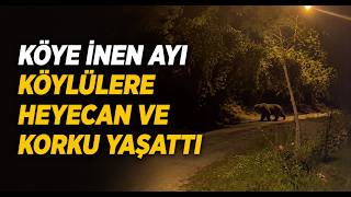 Köye İnen Ayı Köylülere Heyecan ve Korku Yaşattı