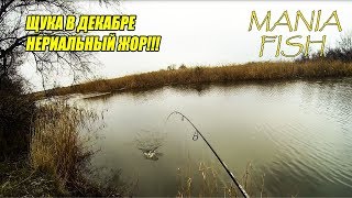 Ловля в декабре хищника с берега