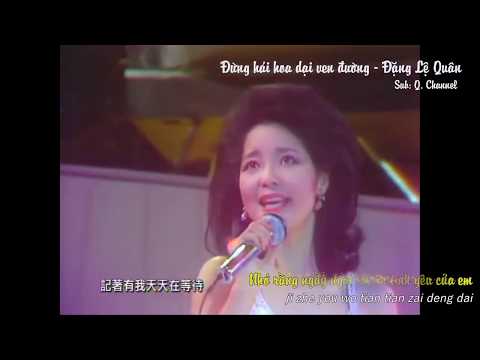 Đừng hái hoa dại ven đường (Đừng hoài nghi anh nhé - Lù biān de yě huā bu yào cǎi - 路边的野花不要采) - Đặng Lệ Quân