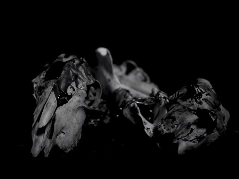 Cloak - The Hunger (official music video)