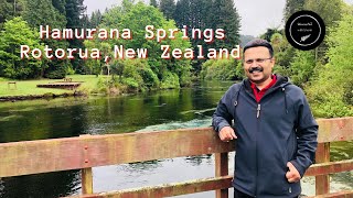 Hamurana Springs in Rotorua, New Zealand @discovernzwithsherin