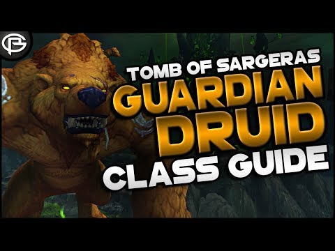 7.2.5 Basic Guide // Druid - Guardian