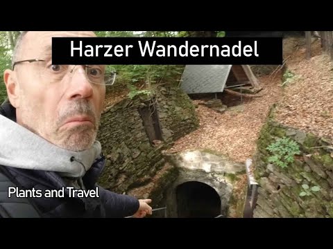 Ruinen , Türme  und Wissenswertes - Harzer Wandernadel #2