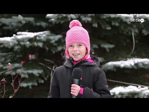 Recomandări de iarnă la munte - Anne Marie Enache