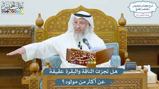 2975 - هل تجزئ الناقة والبقرة عقيقةً عن أكثر من مولود؟ - عثمان الخميس