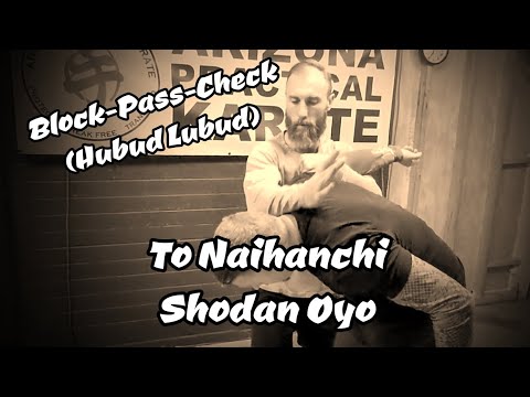 Block-Pass-Check (Hubud Lubud) to Naihanchi Shodan Application