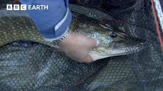 How to Catch a Fish in the Icy North Sea | Fishing Impossible | The Travel Edit