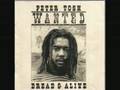 Peter Tosh - Reggaemylitis