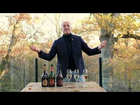 A day in a Champagne Experts life 4.0 - Hatt et Söner
