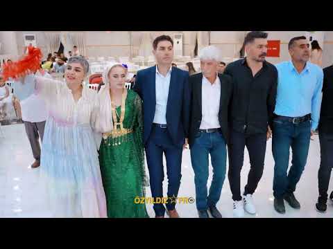 Leyla & Yılmaz 15,09,2024 #keşfet #fotoozyildiz#öneçıkar #aşiretdüğünlerimiz#mardin#özyildizpropart8