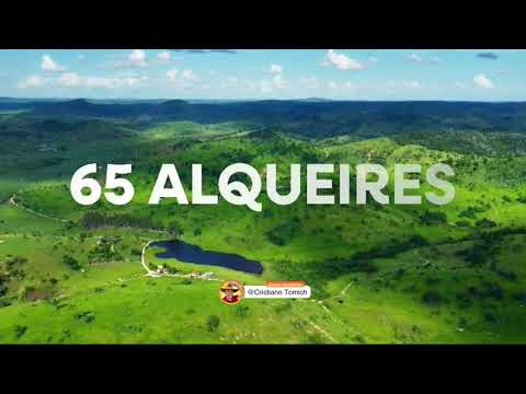 EXCELENTE FAZENDA 65 ALQUEIRES MACHACALIS-MG R$ 11.375.000,00 #fazenda #gado #agro #minasgerais 