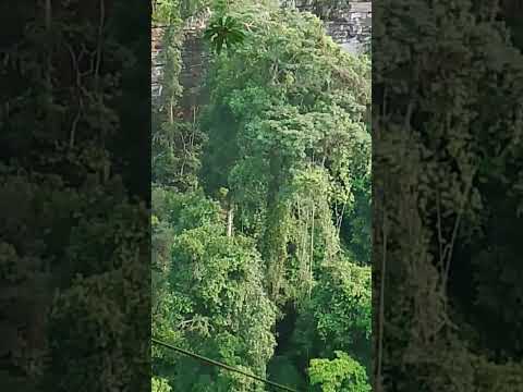 cachoeira ratunde em alto Alegre do Parecis Rondônia