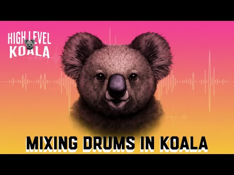 High Level Koala Ep. 2: Signal Flow & Mixing Drums in Koala Sampler