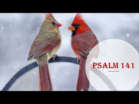 Psalm 141