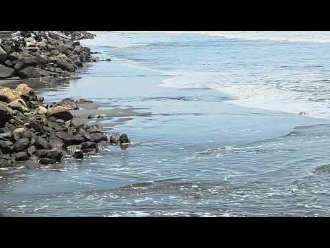 Las olas están fuertes en playa el espino