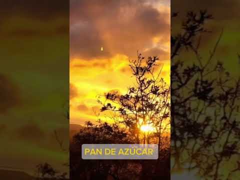 ATARDECER EN PAN DE AZÚCAR #viral #relax #youtubeshorts