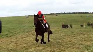 preview picture of video 'Not quite the first horse on the course try 3!'