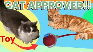 2025 Interactive Cat Toy Ball Review – Self-Rolling Fun for 