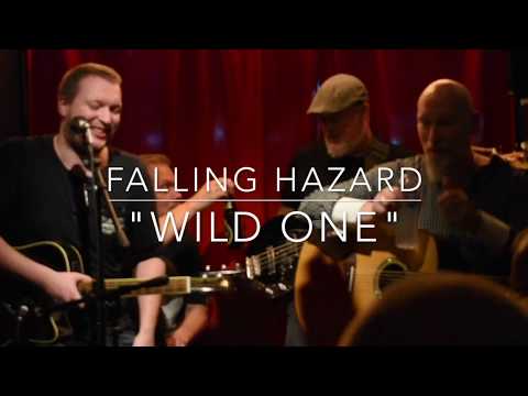 Wild One - Falling Hazard (acoustic Thin Lizzy cover)