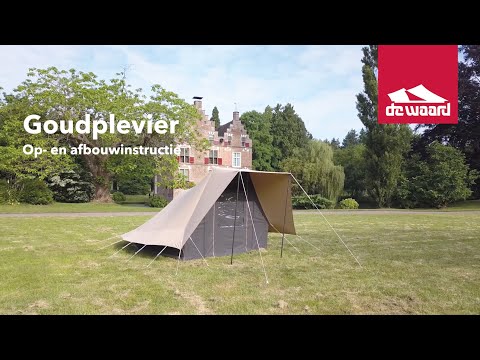 Golden plover setting up and taking down