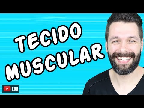 TECIDO MUSCULAR - HISTOLOGIA | Biologia com Samuel Cunha